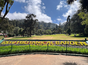 Botanical Garden