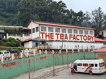 Tea Factory & Museum